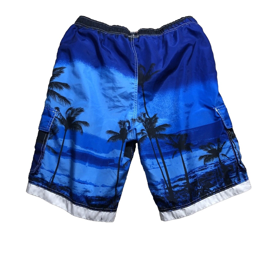 Ingear Shorts Men Size 36 Blue beach board sk8 swim trunks - Picture 2 of 8